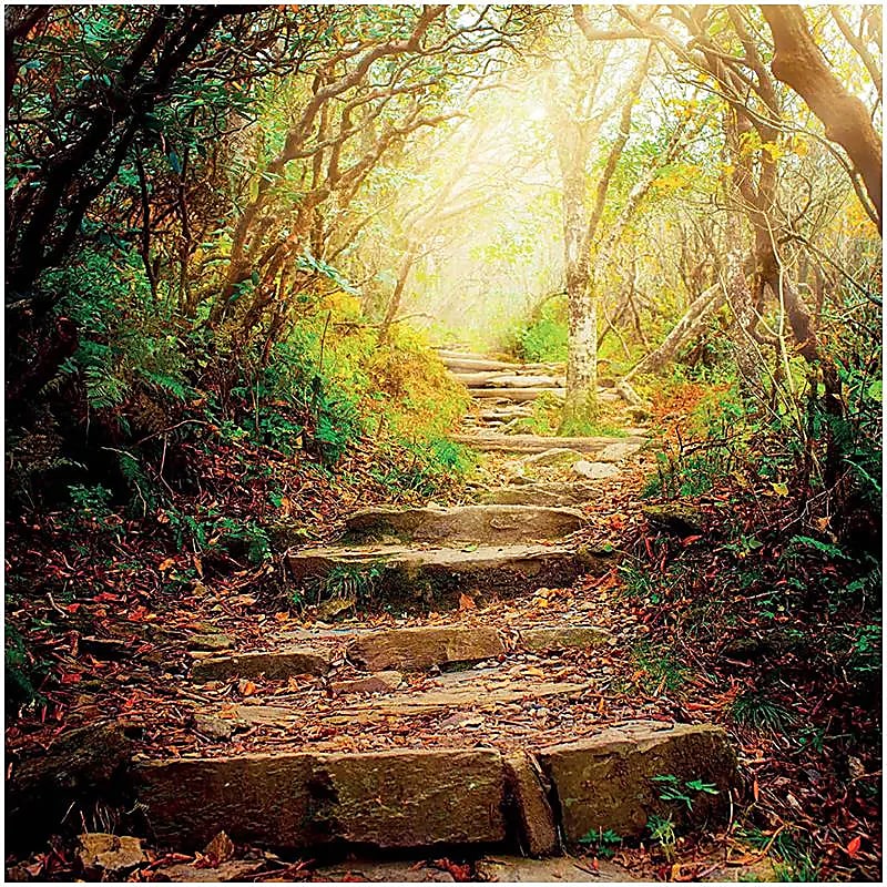 Kaunis kortti jokaiseen tilanteeseen
Kortti sopii erinomaisesti syntymäpäivä-, kiitos- tai onnittelukortiksi – tai vain tuomaan iloa arkeen. Luonnollinen, tyylikäs ja lämminhenkinen design tekee siitä ajattoman valinnan joka tilanteeseen.
