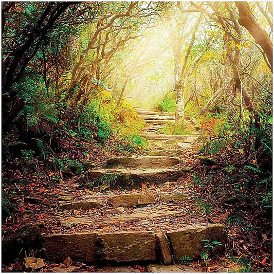 Kaunis kortti jokaiseen tilanteeseen
Kortti sopii erinomaisesti syntymäpäivä-, kiitos- tai onnittelukortiksi – tai vain tuomaan iloa arkeen. Luonnollinen, tyylikäs ja lämminhenkinen design tekee siitä ajattoman valinnan joka tilanteeseen.
